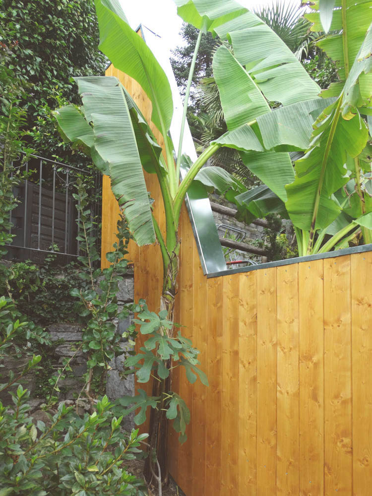 immagine di separé in legno laccato